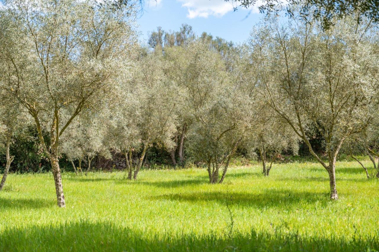 Holiday home Casa Arco Costitx (Mallorca)