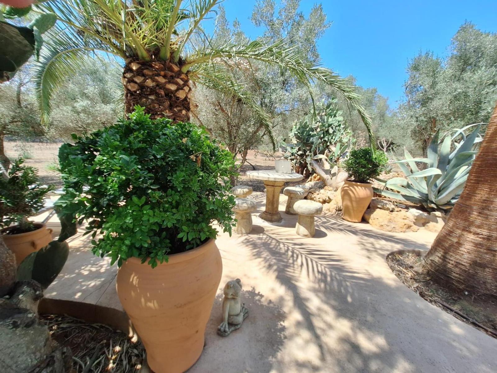 Holiday home Casa Arco